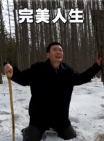 虐之恋下载